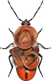 Adventure bug wearing an explorer’s hat, satchel and coiled whip