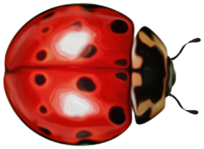 Painted red ladybug character artwork from Bug Art