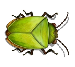 Stinkbug character artwork from Bug Art